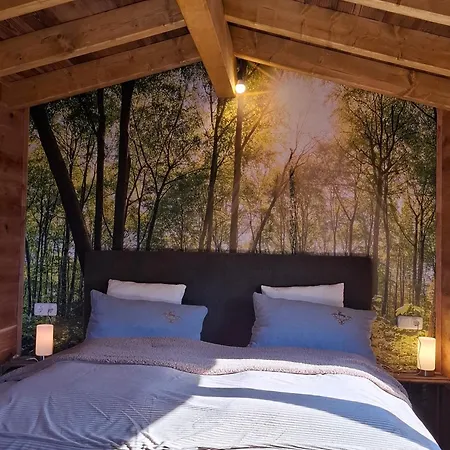 Holzhaus Zum Radekopf Mit Whirlpool Medebach